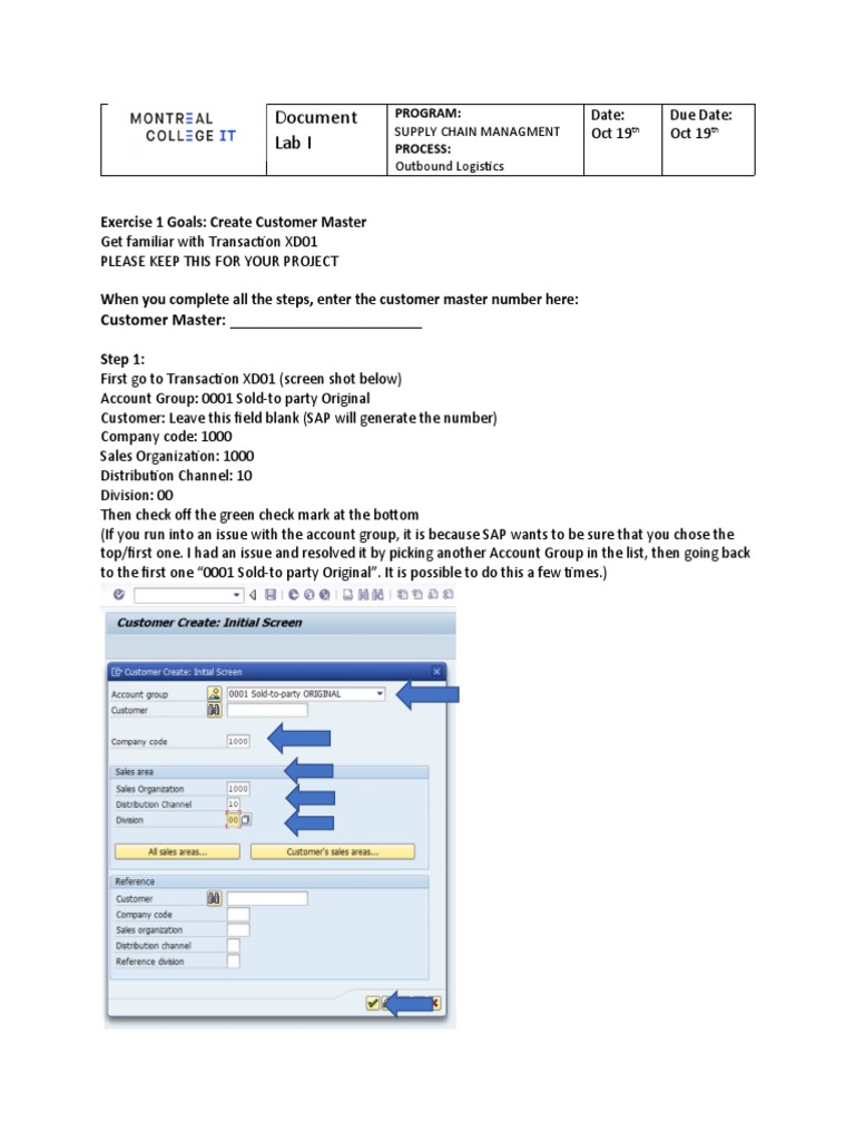 Document Lab I: Customer Master | PDF
