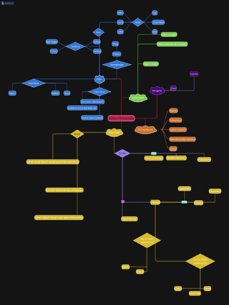 Mind Map 10 - Sistem Pernapasan - Sauda Julia Intanna - Mind | PDF