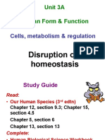 Unit 3A Human Form & Function: Cells, Metabolism & Regulation