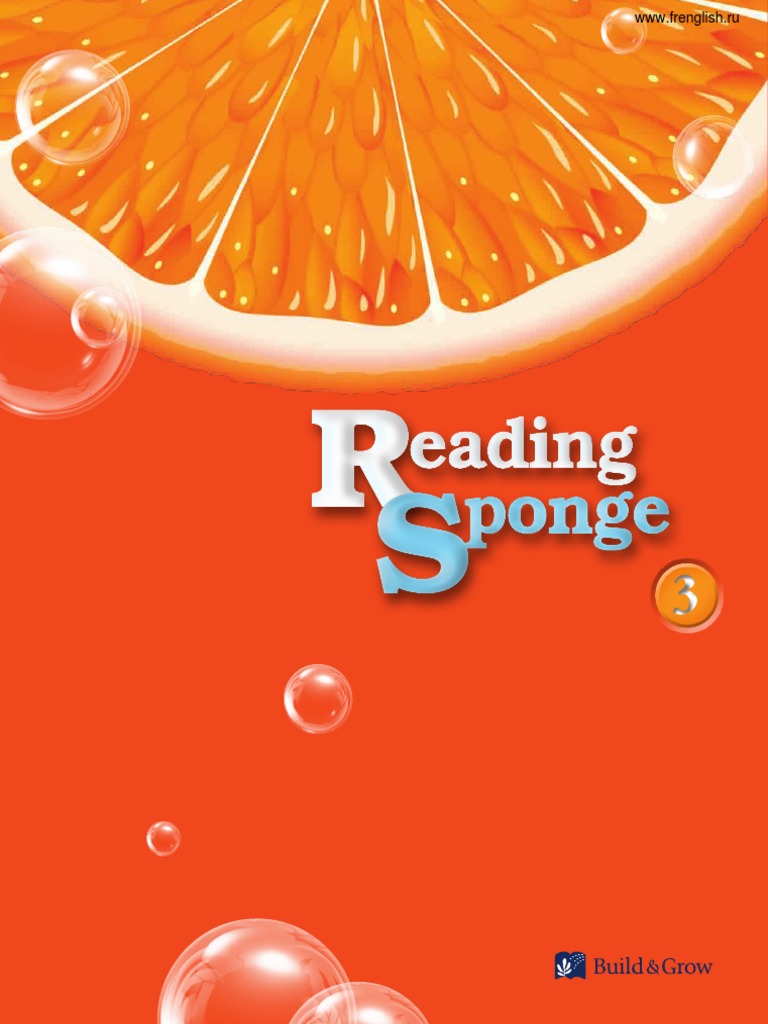 Reading Sponge: Unit Overview | PDF | Reading Comprehension