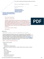 Volume 2, Chapter 7. Retrochiasmal Visual Pathways and Higher Cortical Function