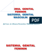 Curs Amg 5 - Aparat Genital Feminin, Masculin