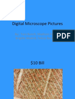 Digital Microscope Pictures