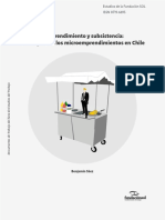 Microemprendimiento y Subsistencia 2019