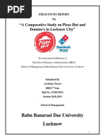 A Comparative Study On Pizza Hut and Domino's in Lucknow City