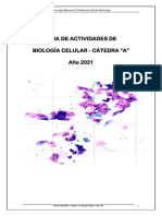 Guia Cel 2021 Final Completa