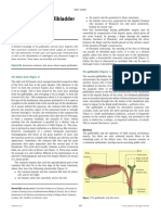 Anatomy of The Gallbladder and Bile Ducts: Basic Science