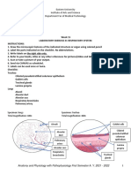 Laboratory Exercise 41 Respiratory System