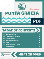 Project Primer: Punta Gracia