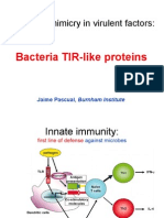 Tir-like proteins seminar