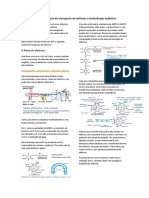 Resumo - Cadeia de Transporte de Elétrons e Fosforilação Oxidativa