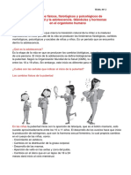 Cambios pubertad y sistema endocrino