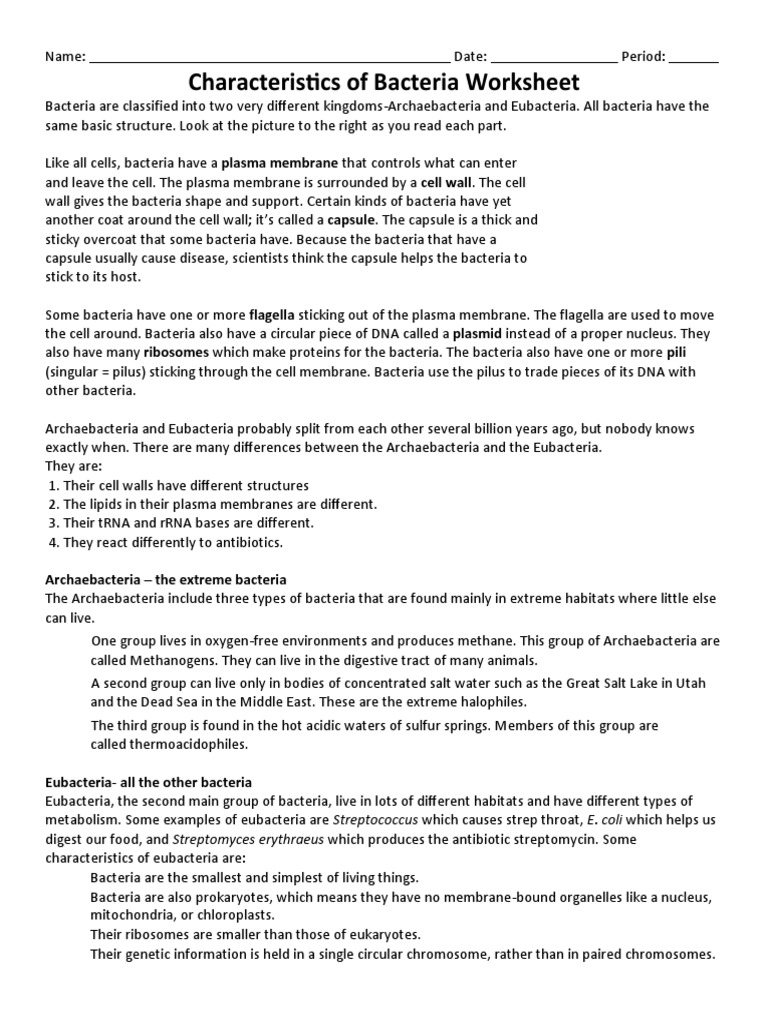 characteristics-of-bacteria-worksheet-archaebacteria-the-extreme-bacteria-pdf-bacteria-cell-biology