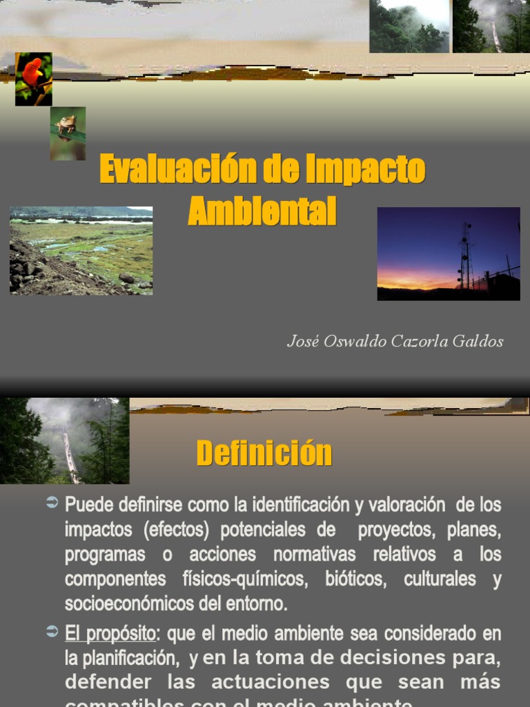 Evaluación de Impacto Ambiental en Proyectos | PDF | Evaluación ...