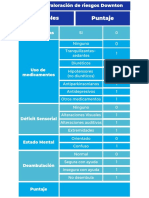 Tabla de valoración de riesgos Downton