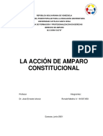 ANALISIS ACCIÓN DE AMPARO CONSTITUCIONAL