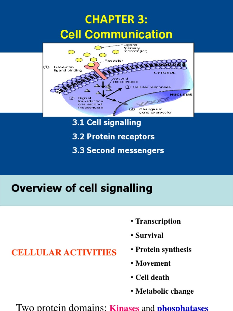 Chapter 3 | PDF | Cell Signaling | Signal Transduction