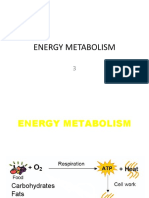 Energy Metabolism 3