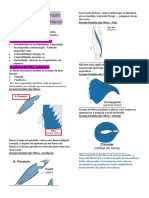 Revisão Cinesio 11-02-21