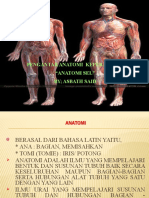 Pengantar Anatomi