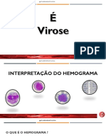 Interpretação Do Hemograma