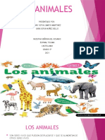 Los Animales Exposicion