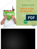 Inducción en Prevención de Riesgos 2017