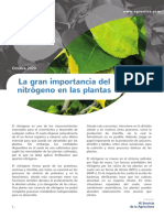 Importancia Del Nitrógeno en Las Plantas Fernanda Habit