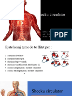 Shocku Circulator VA