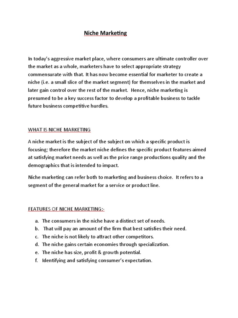 Niche Marketing Strategies Explained | PDF | Marketing | Market (Economics)