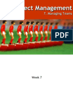 Week 7 Managing Teams