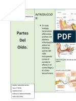 Triptico de Las Partes Del Oido TERMINADO