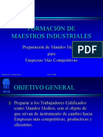 Maestros Industriales