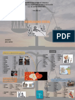 Desigualdad Social (Mapa Mental) Luis Castillo