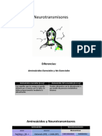 Neurotransmisores: aminoácidos y diferencias clave