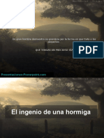 El Ingenio de Una Hormiga