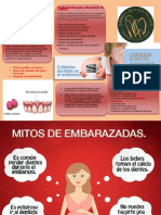 Triptico Salud Bucal Embarazada