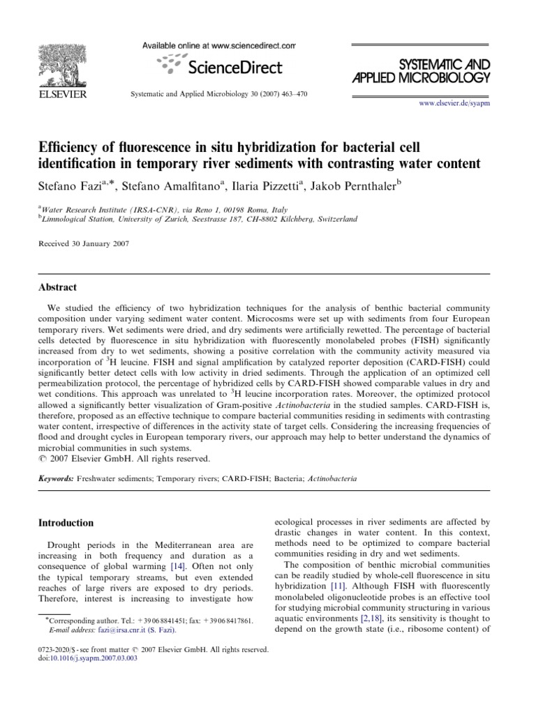 Efficiency of Fluorescence in Situ Hybridization For Bacterial Cell ...