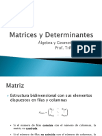 Matriz y determinantes