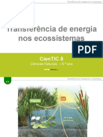 Transferência de energia nos ecossistemas
