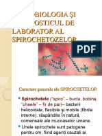 Spirochete Patogene 51125