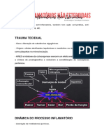 ANTI-INFLAMATÓRIOS NÃO ESTEROIDAIS