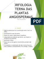 Morfologia Externa das Plantas Angiospermas: Caule