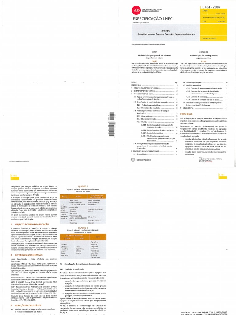 E 461
