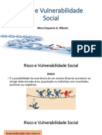 Aula 4 - Risco e Vulnerabilidade Social