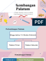 Perkembangan Palatum