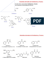 Alcaloides Derivados de Fenilalanina y Tirosina