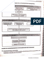 Tipos de Levantamientos