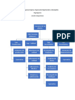 Creación de Organigramas Empresa