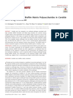 Conserved Role For Biofilm Matrix Polysaccharides in Candida Auris Drug Resistance